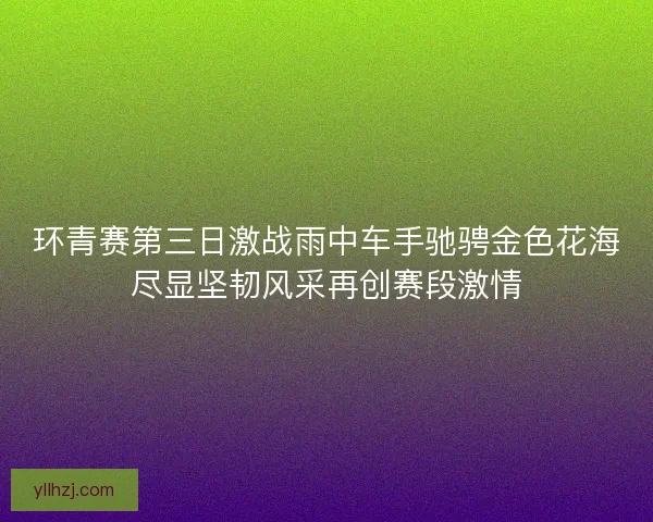环青赛第三日激战雨中车手驰骋金色花海尽显坚韧风采再创赛段激情